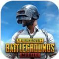 pubg mobile国际服